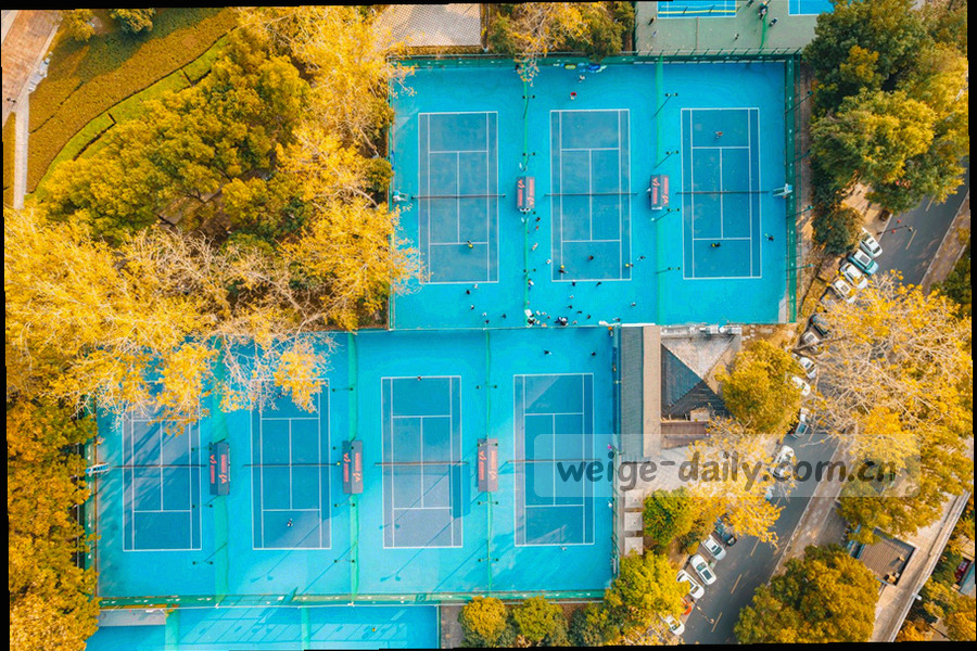 浏览器地址栏与站内检索框同时出现，检索框里已输入品牌名并显示分区结果条目的界面线稿